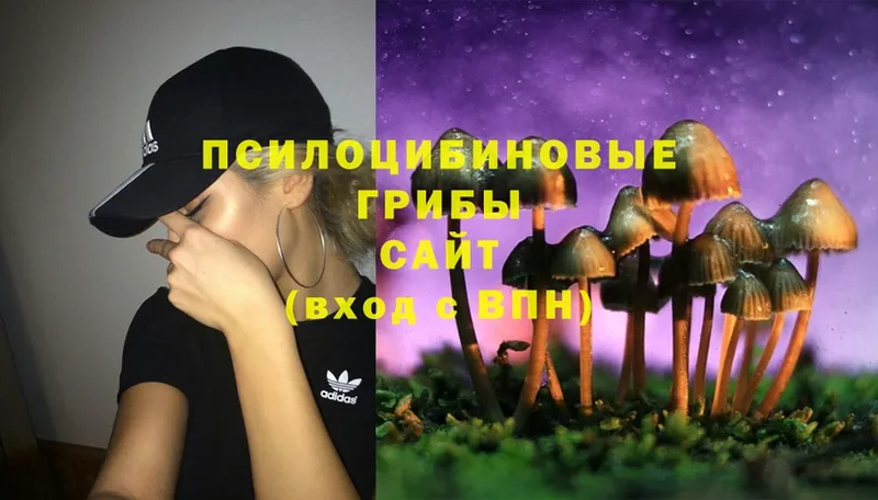 omg   Заринск  Псилоцибиновые грибы Magic Shrooms  как найти закладки 